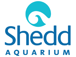 Shedd Aquarium