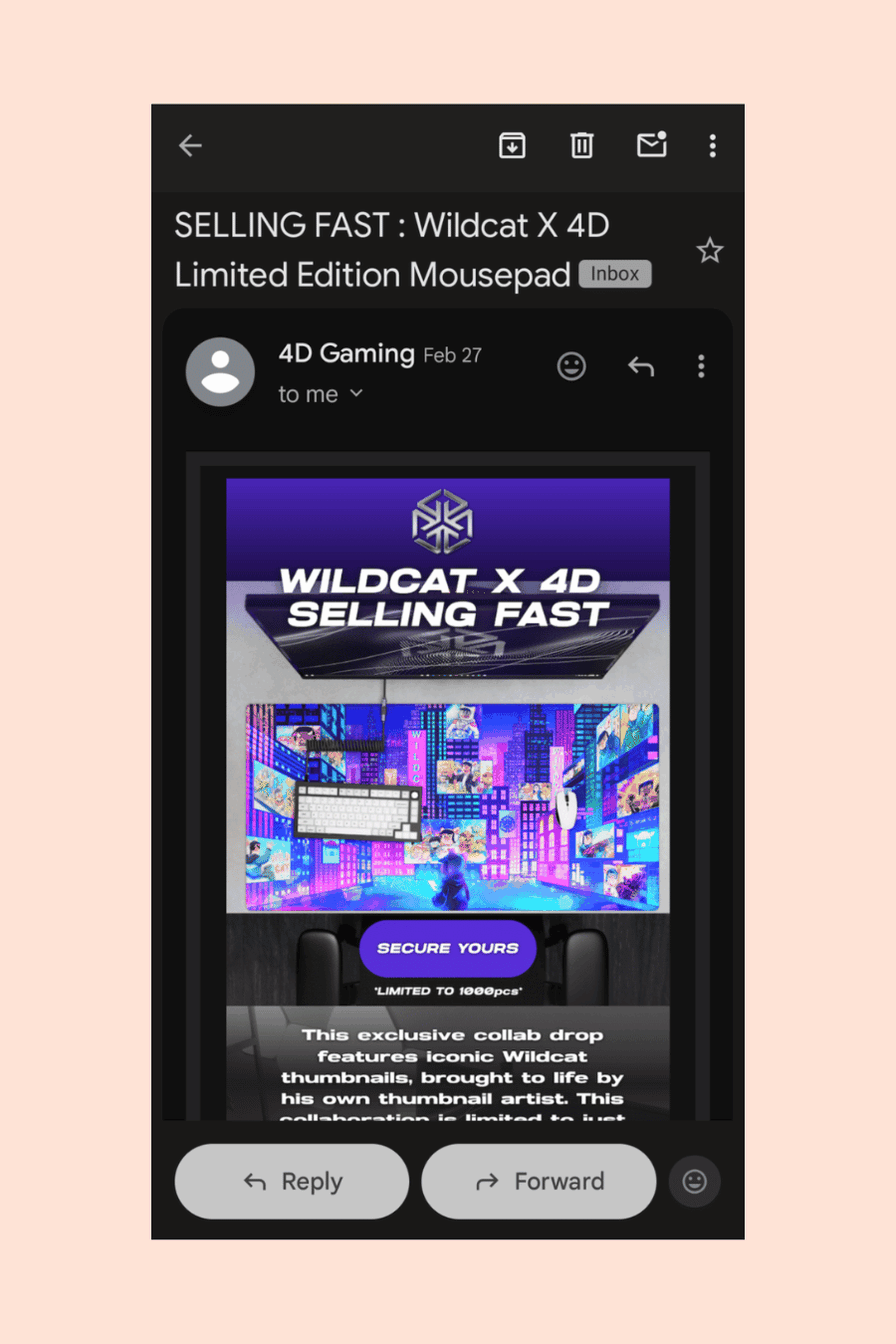 Screenshot of a 4D Gaming email for the Wildcat X limited edition mousepad