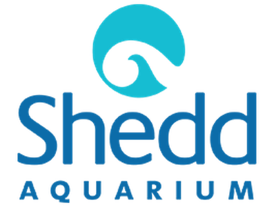 Shedd Aquarium
