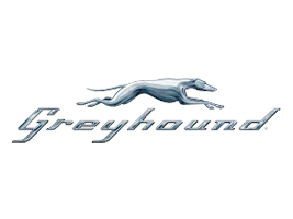Greyhound