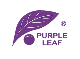 Purple Leaf